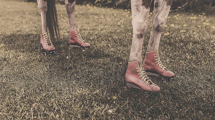 Ευρώπη: farm to fork vs Γενετικά τροποποιημένων τροφίμων