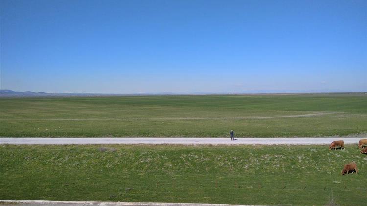 Ακτήμονες Κάρλας: Zητούν ρύθμιση για να μην χάσουν τα χωράφια τους