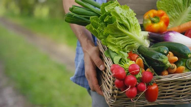 Θεσσαλονίκη: Καλλιέργησε τα δικά σου, βιολογικά λαχανικά, στο Αγρόκτημα του ΑΠΘ