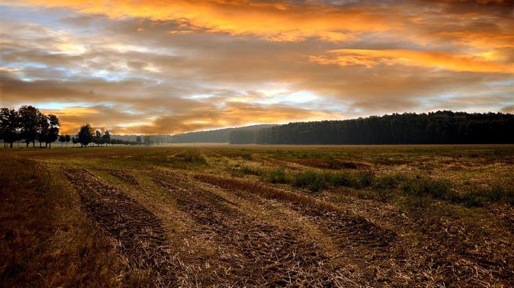 In Slovenia, Copa and Cogeca Presidents underline the central role of farming for strong and vibrant European rural areas