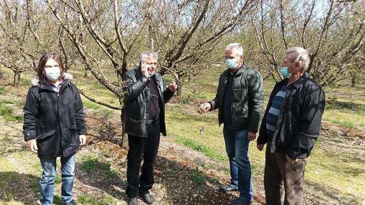 Αντιπροσωπεία του ΣΥΡΙΖΑ συναντήθηκε με αμυγδαλοπαραγωγούς