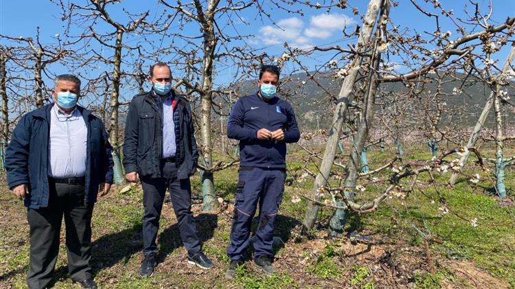 Αυτοψία Λάκη Βασιλειάδη σε καλλιέργειες που χτυπήθηκαν από τον παγετό