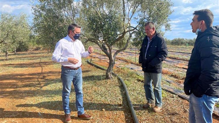 Χαλαζοπτώσεις Τριφυλίας: Επίσκεψη Π. Μαντά για άμεση δρομολόγηση αποζημιώσεων