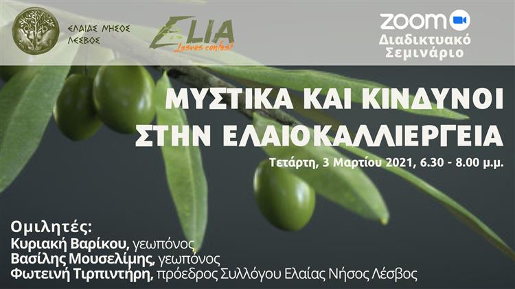 Μυστικά και κίνδυνοι στην ελαιοκαλλιέργεια