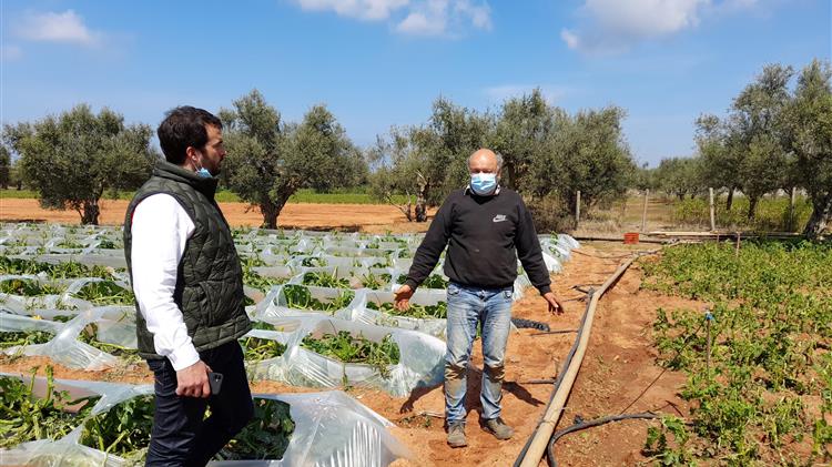 Γερονικολός: Κοντά στους αγρότες της Τριφυλίας,