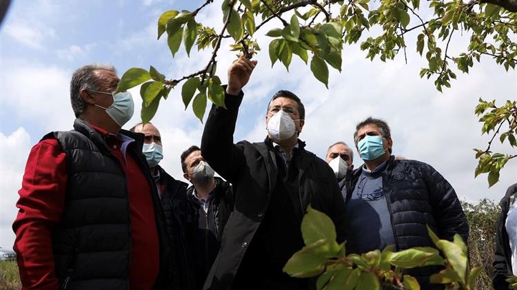 Τζιτζικώστας: Επισκέφτηκε περιοχές που επλήγησαν από τον παγετό