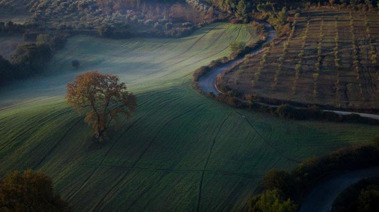 ΜέΡΑ25: Δασικοί Χάρτες – Ένα ακόμη δώρο στο ΤΑΙΠΕΔ!