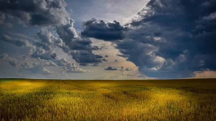 Ο Γολγοθάς του ΟΣΔΕ και η ανησυχία των αγροτών για τις φετινές πληρωμές