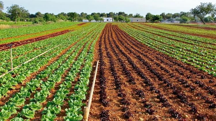 Νέα πρωτοβουλία για την αγορά άνθρακα από την Corteva