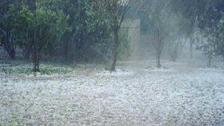 Νίκας: Ζητά εκσυγχρονισμό του κανονισμού του ΕΛΓΑ