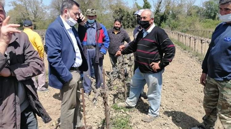 Βασιλόπουλος: Ο ΕΛΓΑ να καλύψει εξ ολοκλήρου τις ζημιές στην σταφίδα