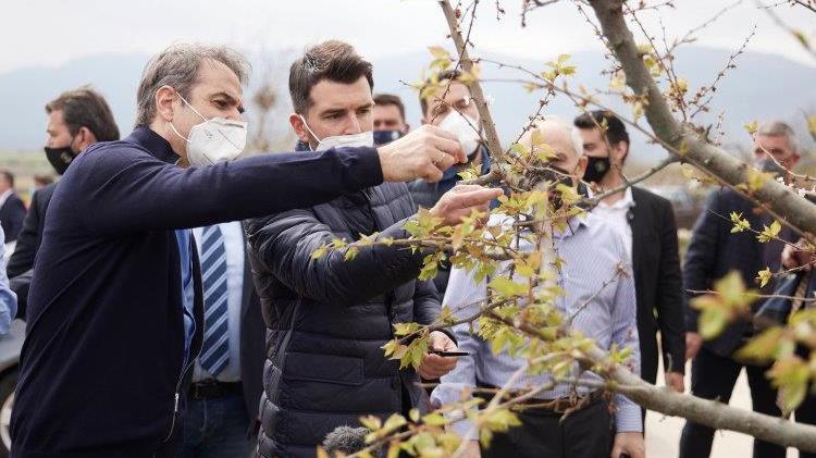 Δέσμευση Μητσοτάκη για ενίσχυση της αγροτικής ανάπτυξης μέσω του Ταμείου Ανάκαμψης