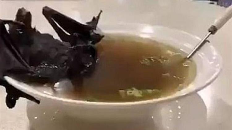 Νέα σύσταση από ΠΟΥ: Stop στην πώληση άγριων ζώων σε παραδοσιακές αγορές