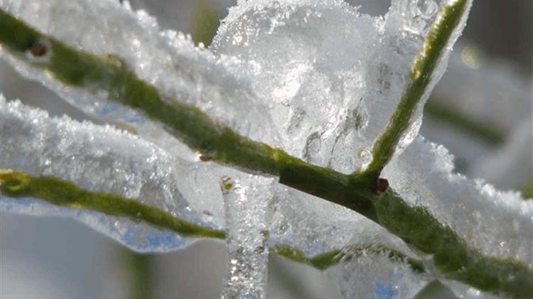 Την Τρίτη οι αποζημιώσεις του ‘ΠΑΓΕΤΟΣ ΑΝΟΙΞΗ 2021’ από τον ΕΛΓΑ