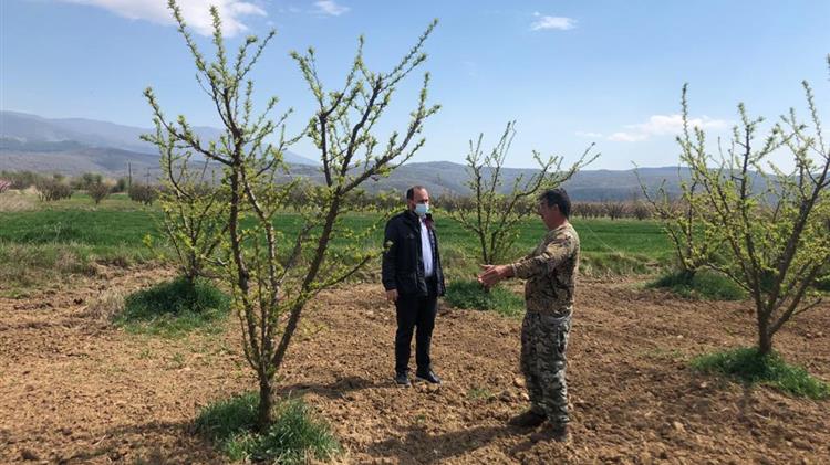 Βασιλειάδης: καμία ζημιωμένη καλλιέργεια δεν θα μη μείνει απροστάτευτη
