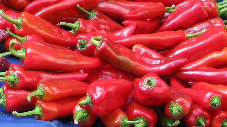 Προσπάθεια να κατοχυρωθεί ως προϊόν ΠΟΠ η πιπεριά Φλωρίνης