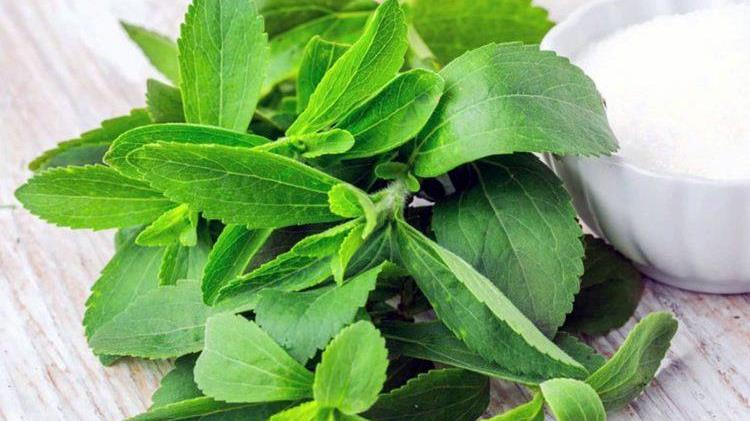 Προειδοποίηση ΠΟΥ: Ποια γλυκαντικά πρέπει να αποφεύγετε -Καμπανάκι και για τη στέβια