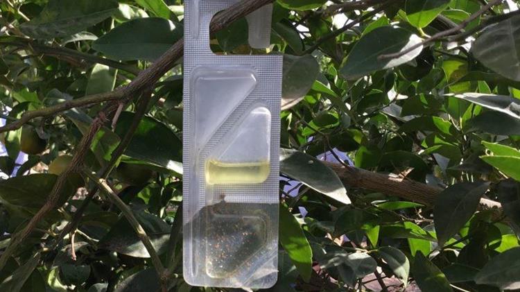 Η Bayer παρουσιάζει το Vynyty Citrus® για τον έλεγχο των επιβλαβών οργανισμών στα εσπεριδοειδή