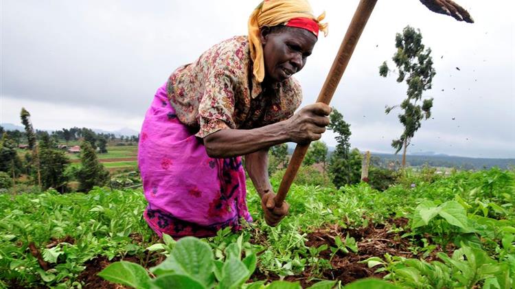 Meet Some of the American Women Who Advanced Agriculture