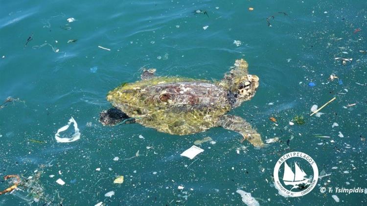 Ινστιτούτο Αρχιπέλαγος: “Οι καταναλωτικές συνήθειες καταστρέφουν το θαλάσσιο περιβάλλον”