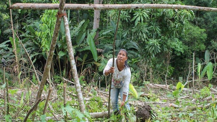 Climate change and indigenous peoples, afro-descendants and migrants examined at global seminar