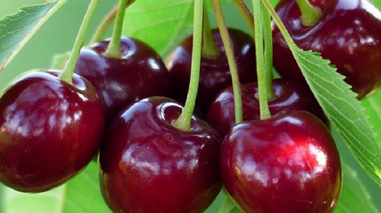 Το κόκκινο φρούτο που ρυθμίζει ουρικό οξύ και τριγλυκερίδια