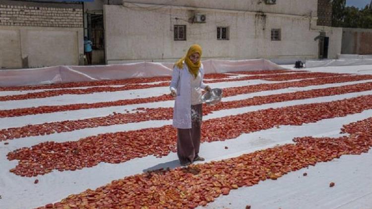 The world is converging on the need for sustainable agri-food systems