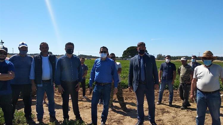 Στην Ηλεία ο Αντιπρόεδρος του ΕΛΓΑ: Θα αποζημιωθούν όλοι μέχρι το τελευταίο ευρω