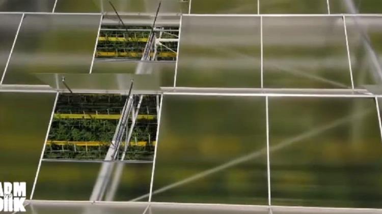 FARM TO FORK: Βιώσιμη γεωργία και νέα μοντέλα που εξασφαλίζουν προϊόντα υψηλής ποιότητας