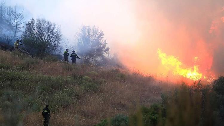 Τρακτέρ έσπειρε φωτιά στην Λαμία