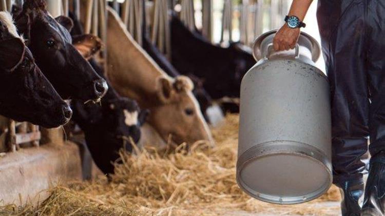 Πώς θησαυρίζουν οι γαλακτοβιομηχανίες σε βάρος των αγελαδοτρόφων και των καταναλωτών