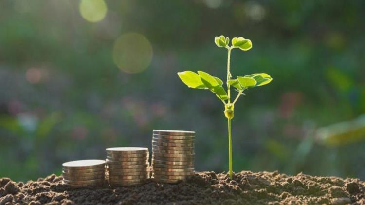 Αύριο καταβάλλονται οι προκαταβολές των αποζημιώσεων για τον παγετό Άνοιξη 2021