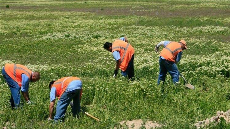 Ελ Σαλβαδόρ: Κρατούμενοι καλλιεργούν λαχανικά και την… αποφυλάκιση τους