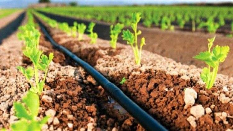 Προγραμματικές συμβάσεις Περιφέρειας- ΤΟΕΒ για τον εκσυγχρονισμό των αρδευτικών δικτύων