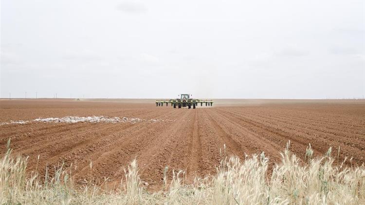 Πως θα ανθίσουν τα ψηφιακά αγροκτήματα - Στο περίμενε οι εξηγήσεις για τις πραγματικές καλλιέργειες που έσβησαν