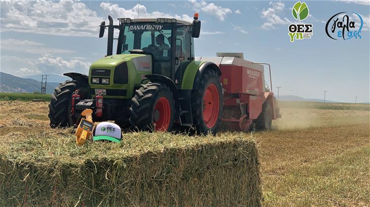 Νέο πρωτοποριακό σύστημα τιμολόγησης τριφυλλιού με βάση την Πρωτεΐνη