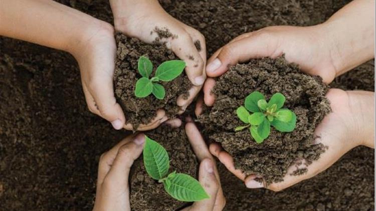 Ενιαίος Αγροτικός Σύλλογος Ιεράπετρας: Για τα ανακυκλώσιμα υλικά φύτευσης