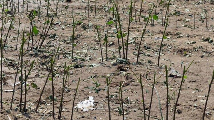 Θεσσαλία: Διεκδικούν αποζημιώσεις μέσα στο Νοέμβριο