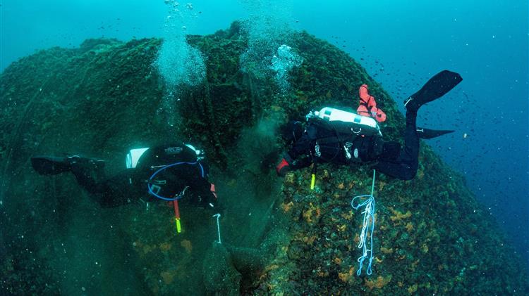 SOS από επιστήμονες  - Βλέπουν "κατάρρευση" της βιοποικιλότητας της Μεσογείου μέσα σε 30 χρόνια