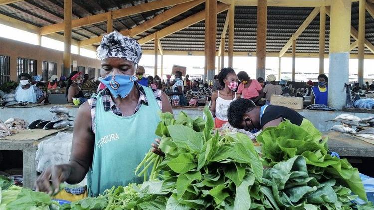 Wholesale food markets are critical for agri-food systems transformation