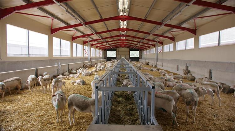 Κτηνοτροφικές εγκαταστάσεις: Υποχρεωτική απογραφή στο OpenBusiness