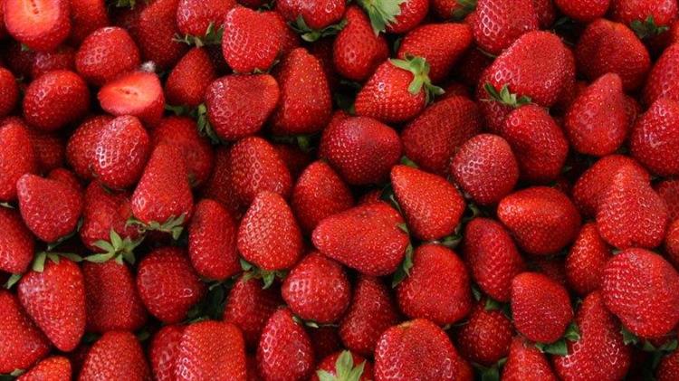 Φρούτα και λαχανικά: Πώς κινήθηκαν οι εξαγωγές