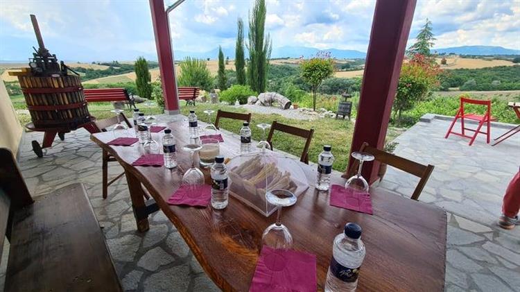 Κατερίνη: Και βουνό και θάλασσα και οινοτουρισμός στο ...φως του Ολύμπου