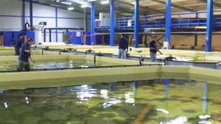 Γαριδοκαλλιέργεια : Πυλώνας διάδοσης υδατοκαλλιέργειας