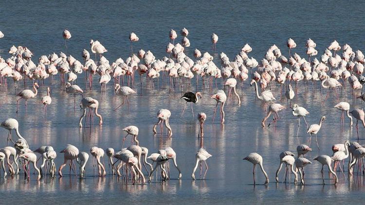 Χωρίς «αναπνοή» οι λίμνες, λιγοστεύει το πόσιμο νερό