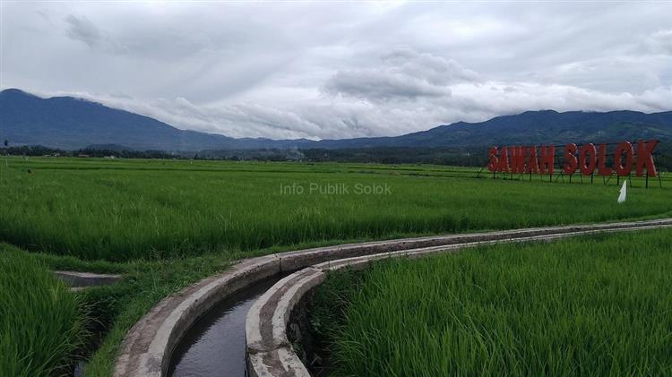 Global food prices rise at rapid pace in May