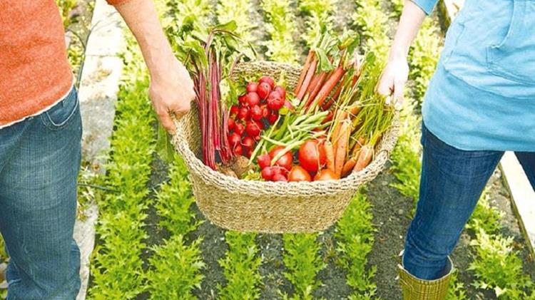 Πέντε στρατηγικές προτεραιότητες για την αγροδιατροφή