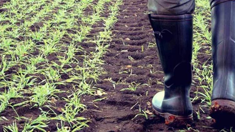 Ετήσια Τακτική Γενική Συνέλευση του  Ενιαίου Αγροτικού Συλλόγου Ιεράπετρας