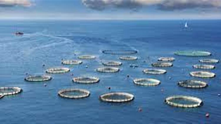 Υποβολή αιτήσεων χρηματοδότησης για την ένταξη στη Δράση 2 του Μέτρου 3.4.3 "Μέτρα Εμπορίας"