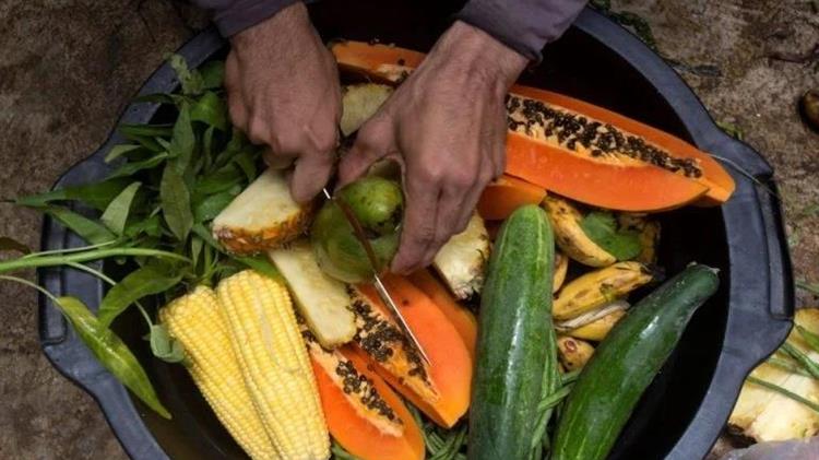 Πώς ήταν τα φρούτα και τα λαχανικά πριν την «εξημέρωσή» τους